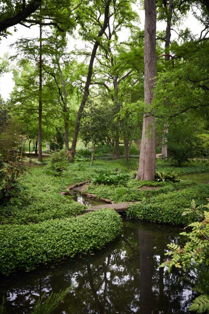 Donald Vogel’s second wife, landscape architect Erika Farkac Vogel, redesigned the garden in the 1980s. Here, runoff from the pond meanders through beds of fern, Asian jasmine, and ivy, amid a thicket of bald cypress, Mexican plum tress, hollies, and bamboo. (Photo by Pär Bengtsson / art direction by Michelle Aviña)