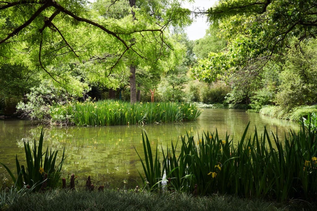Yellow flag irises blooming in the pond during May are joined in late summer by red spider lilies and purple-hued pickerel weed, a gift from artist David Gibson. (Photo by Pär Bengtsson / art direction by Michelle Aviña)