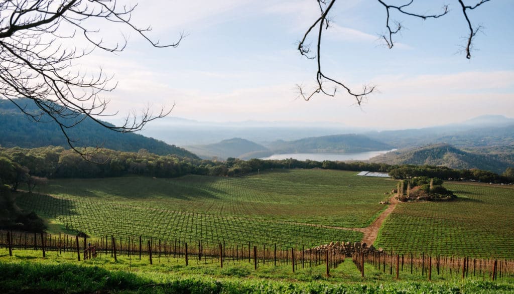 A view of the Chappellet Estate, with Lake Hennessey in the background. (Courtesy Chappellet)