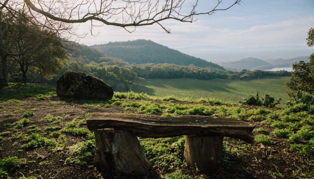 The Chappellet estate is a place of beauty. (Courtesy Chappellet)