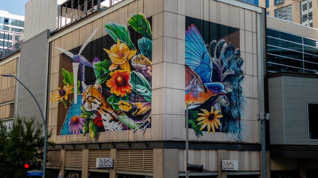 Carlo Alberto's completed mural, "Hope for a Greener Future" (Photo by @superkant and @cyvisuals_, courtesy Street Art for Mankind)