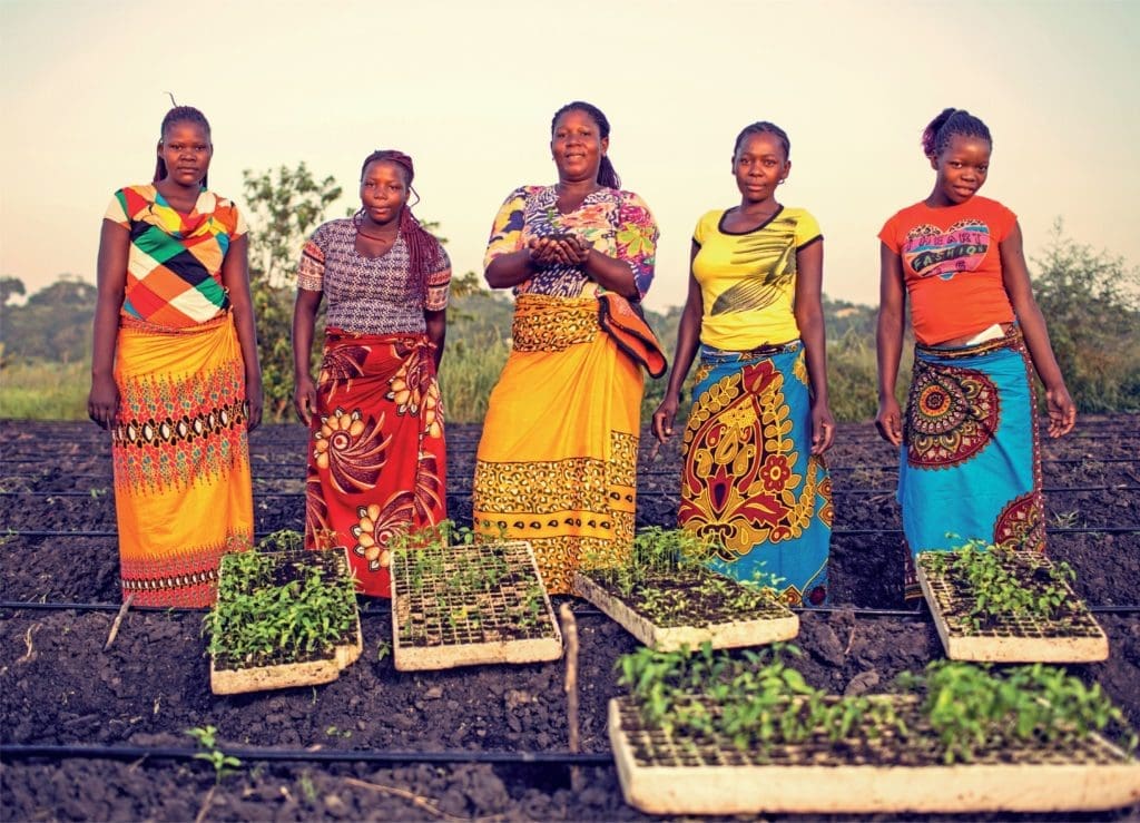 Farmers in Mozambique who plant and harvest the famed peri-peri plants for Nando's.  (Photo by Ricardo Franco)