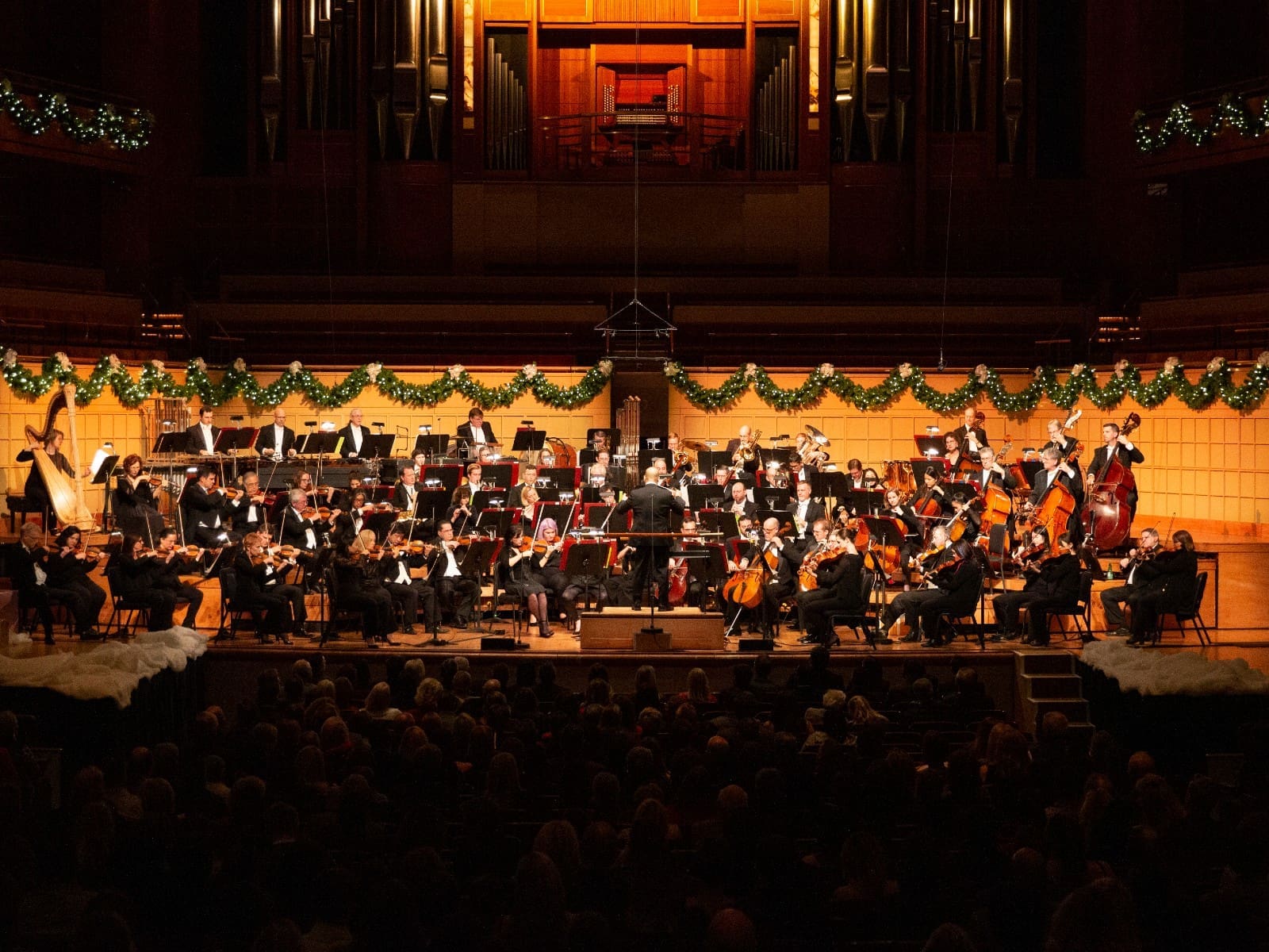 DSO Dallas this weekend