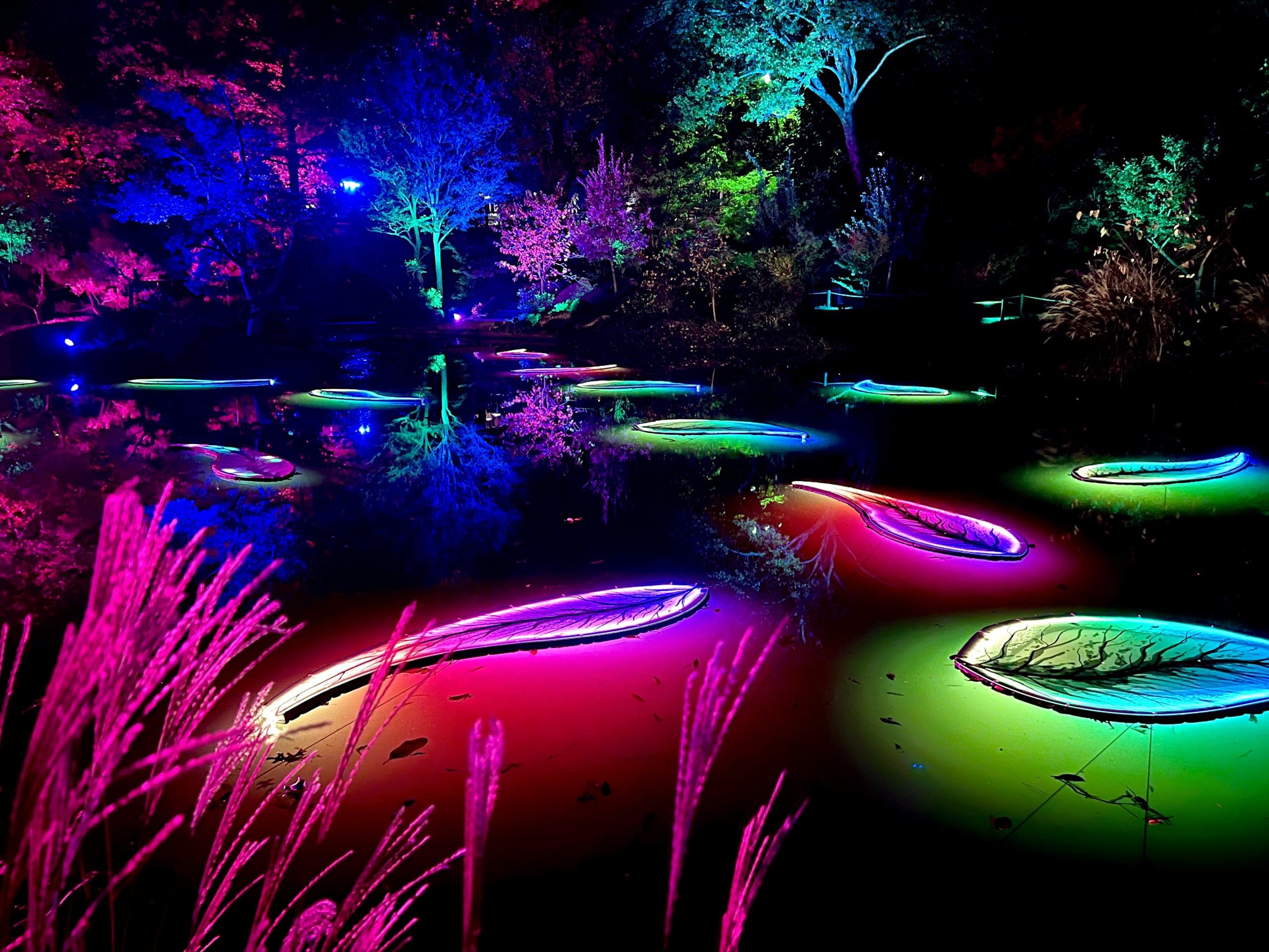 Dramatic scenes marked Fort Worth's Lightscape installation. (Photo by Allison Yarid)