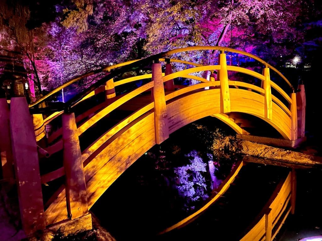 The Japanese Garden's new arched bridge reflects in the water at Lightscape. (Photo by Courtney Dabney)