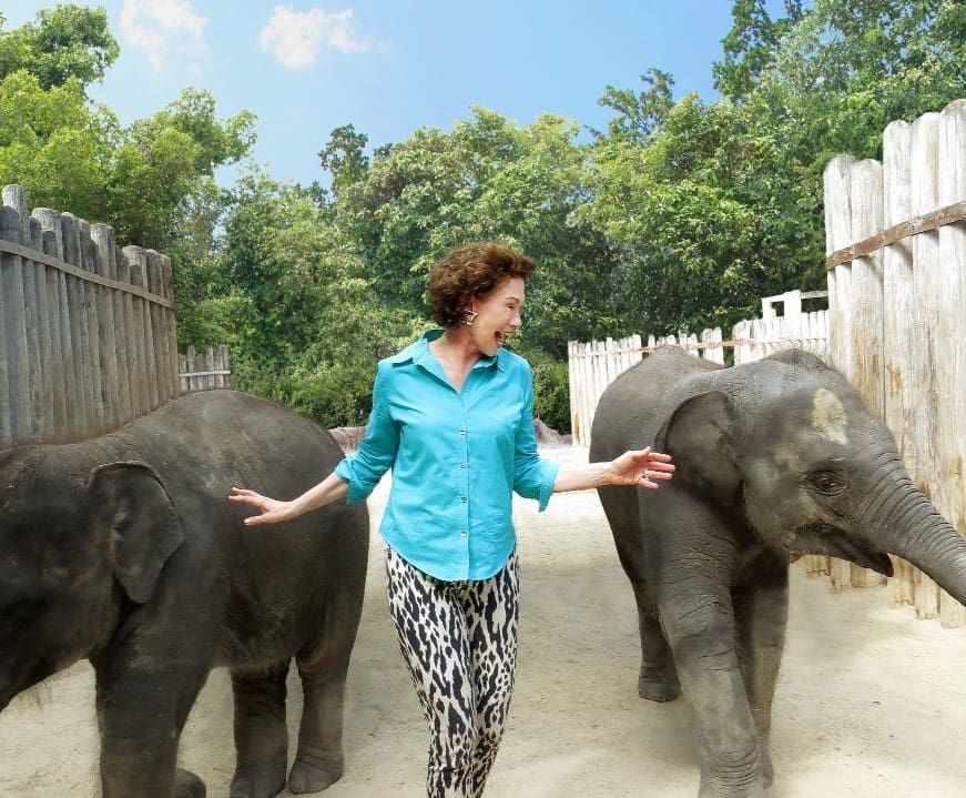 Ramona Bass dotes on two of the Fort Worth's Zoo's elephants in anticipation of their new habitat.