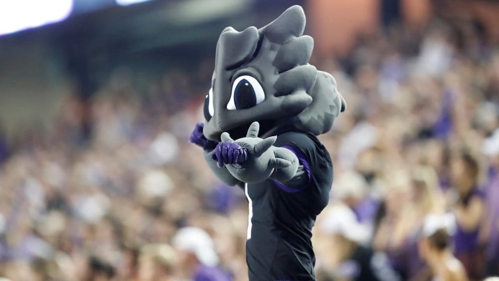 Super Frog is Texas Christian University's beloved mascot.