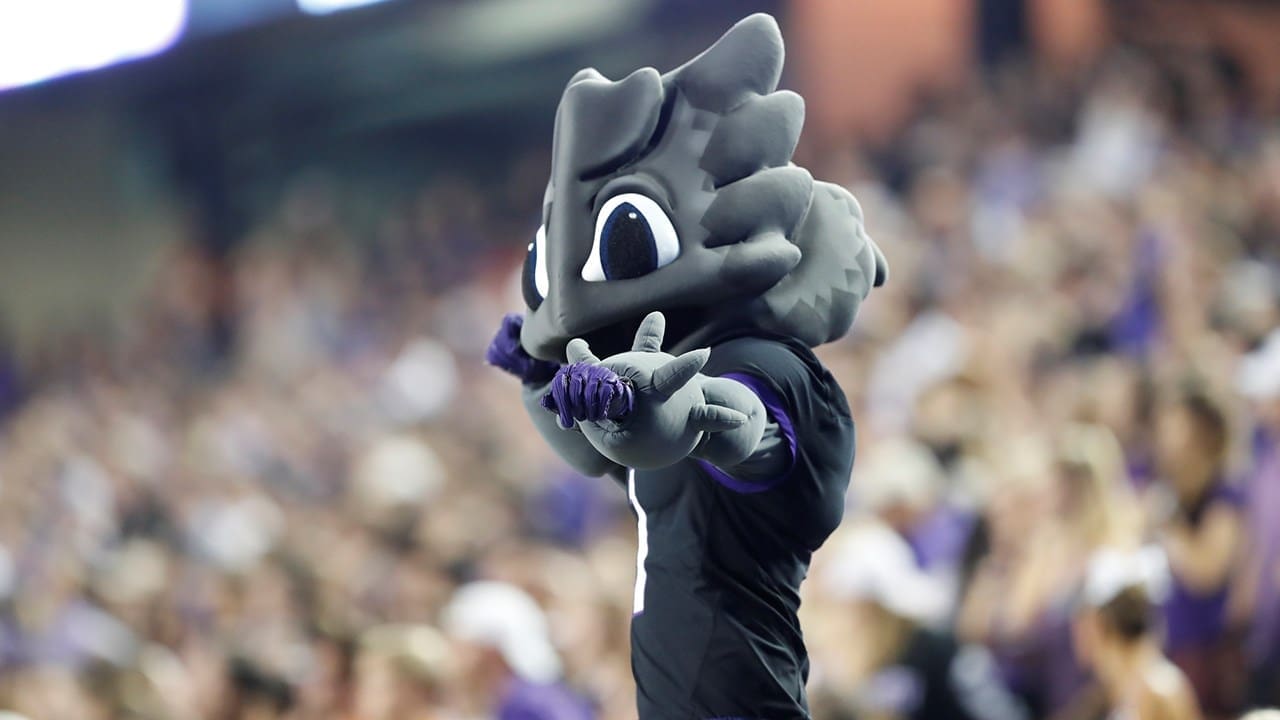 Super Frog is Texas Christian University's beloved mascot.