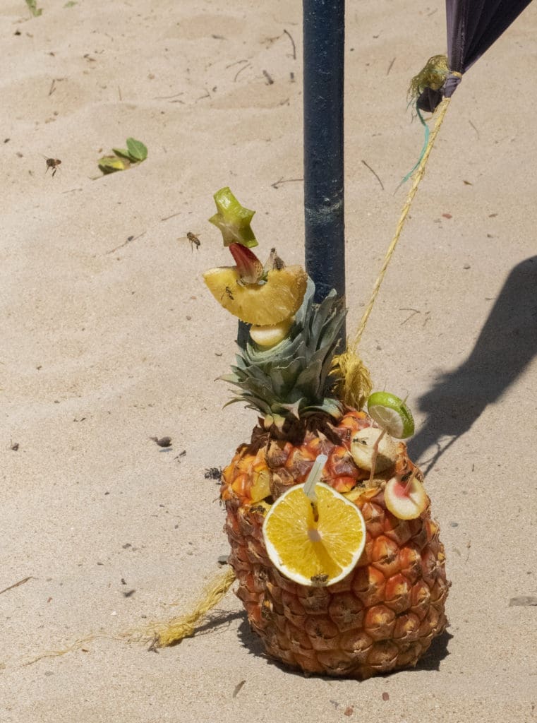 Crisitina Velasquez's "Elegancia tropical," 2022. This image, which is simultaneously repulsive and attractive, was featured in the inaugural exhibition at Assembly, Houston’s newest photography gallery. The light wood frame beautifully extends the sand.