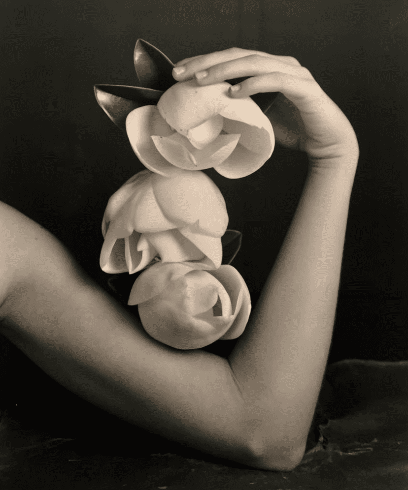 Robert Langham's "Triple Magnolia," 2019. Texas native Robert Langham is known for his evocative and poetic works. Triple Magnolia is a stunning still life. 