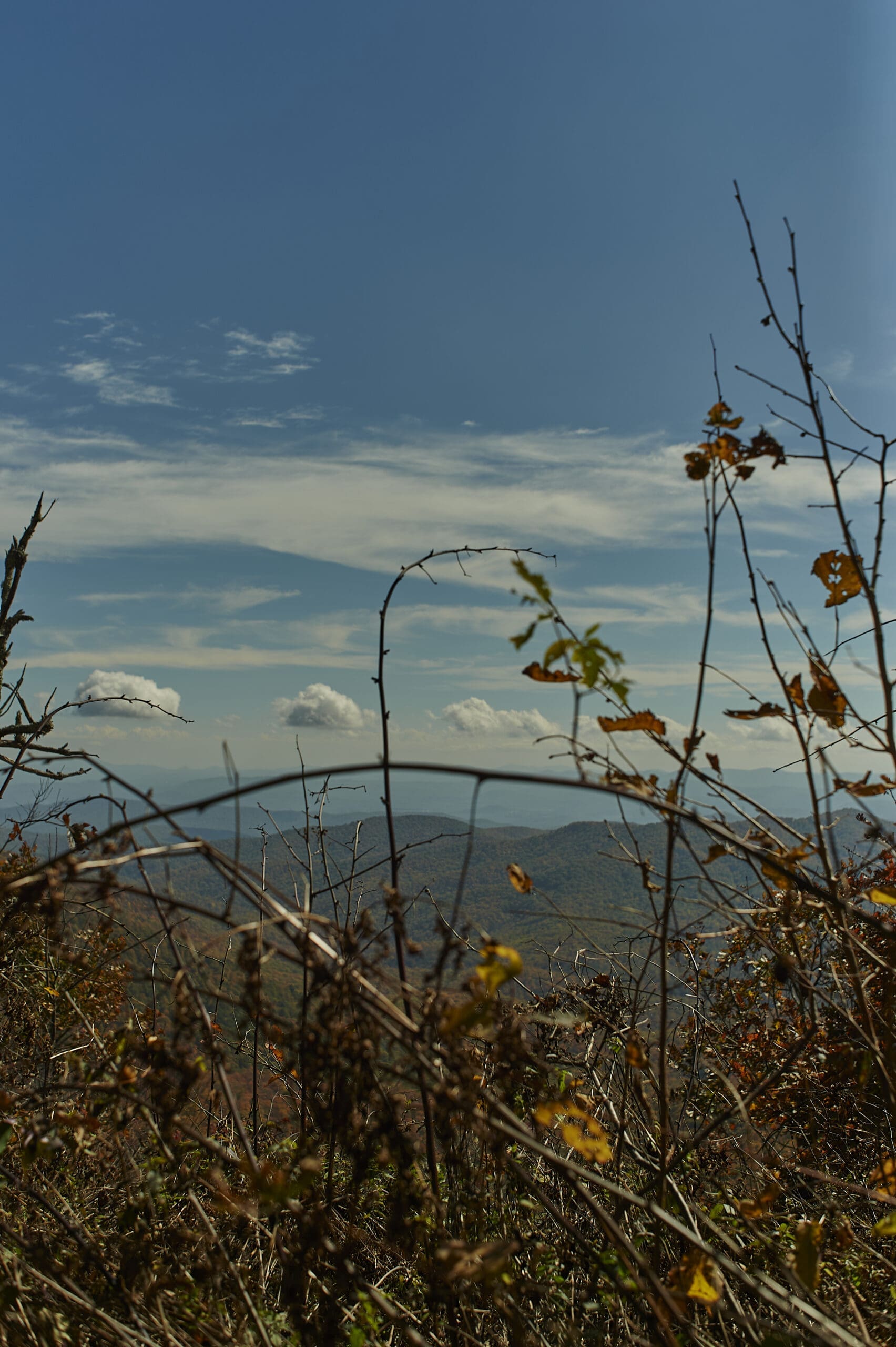 Gem Hale's "Appalachian Trail," 2019 