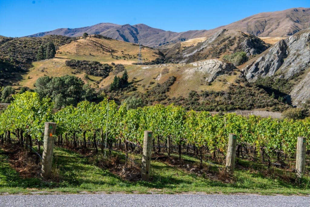 Gibbston Vallery Winery in Queenstown, New Zealand. 
