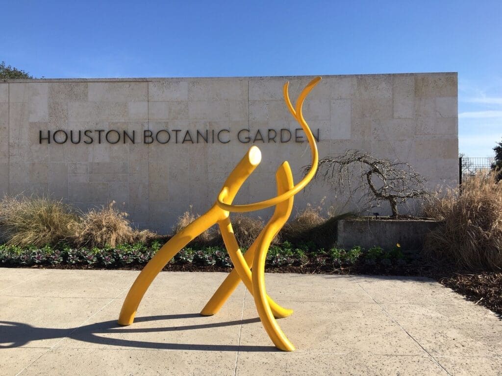 "Dancing Steelroots" at Houston Botanic Garden (Photo by Daisuke Shintani)