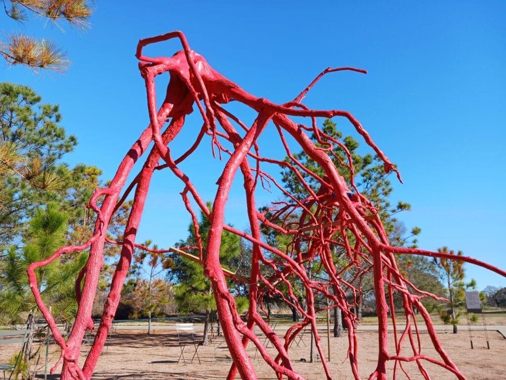 "Romeo & Juliet" creates a striking scene at Houston Botanic Garden (Photo by Justin Lacey)
