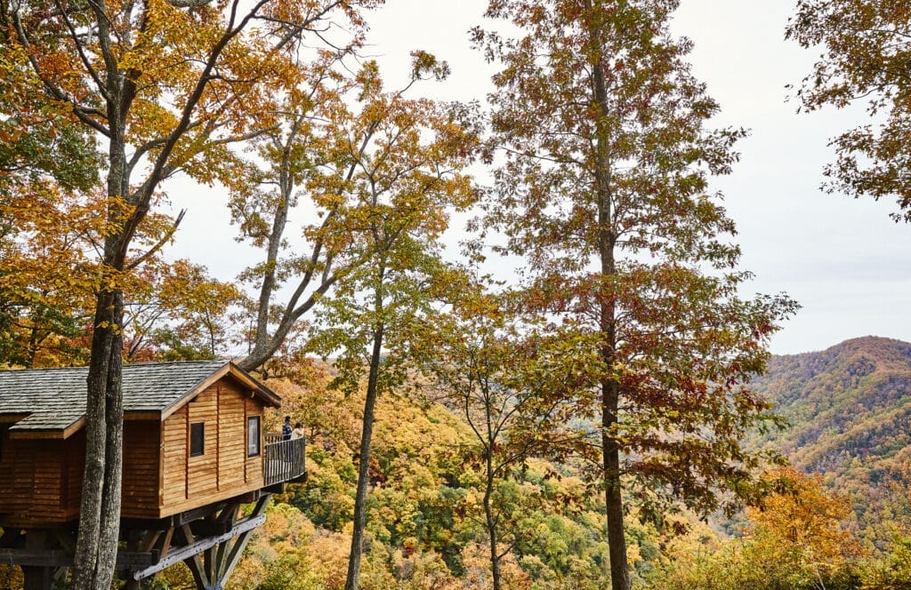 Primland Resort is a 12,000 nature-filled luxury escape.