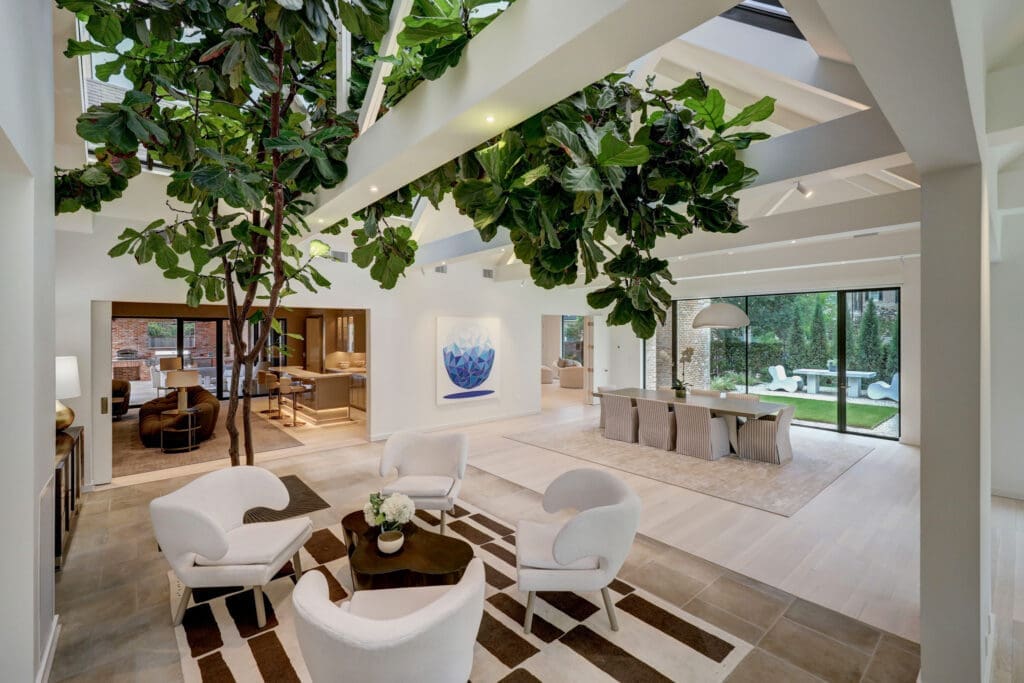 A massive, living fiddle leaf fig tree rises in the center of the River Oaks dream house at 3404 Chevy Chase. (Photo by TK Images)