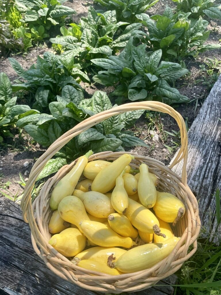 Grady Spears is diving head first into farming his own produce for his latest ventures.