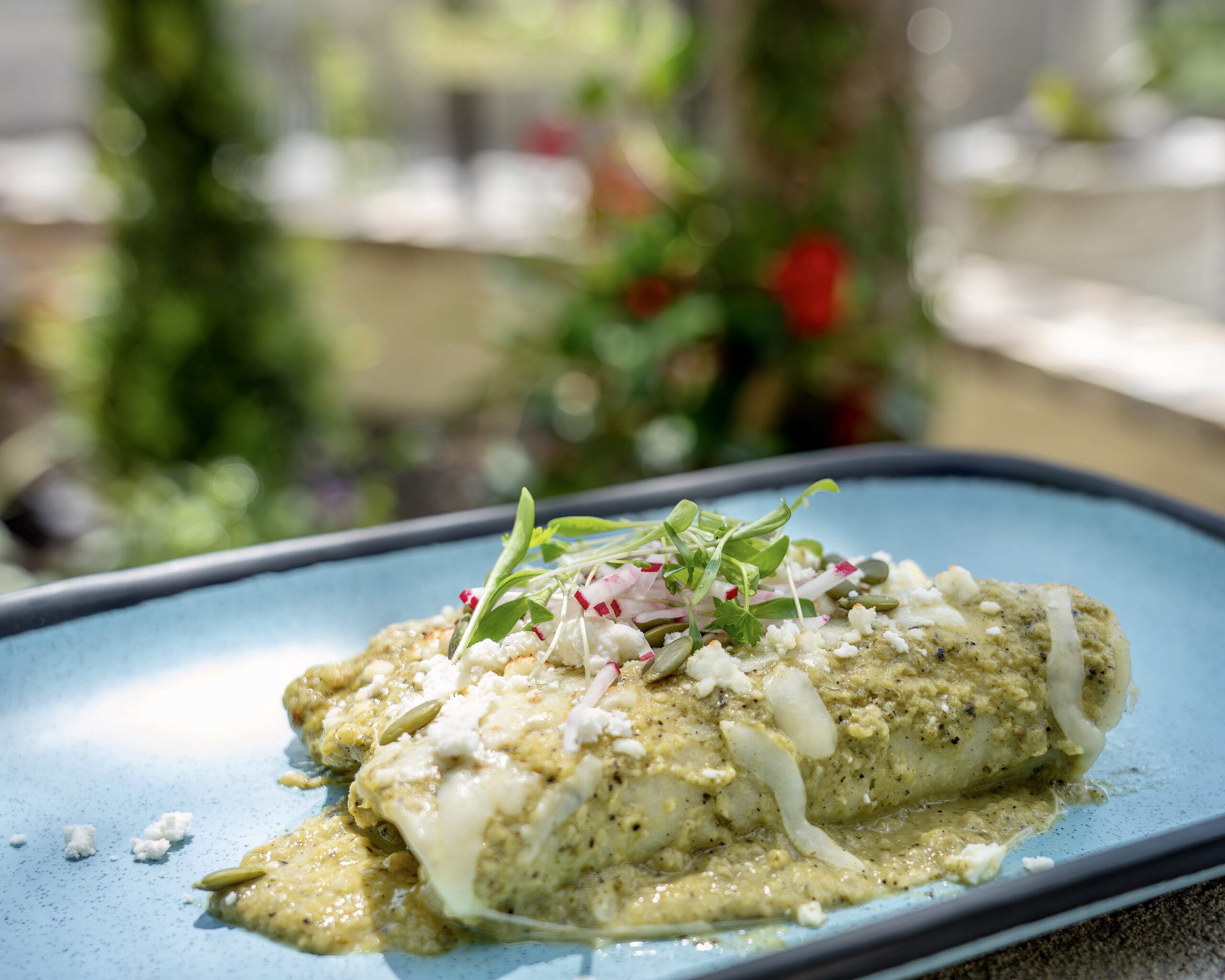 Suizas Enchiladas by Dustyn Zenner (Photo by Dustyn Zenner)