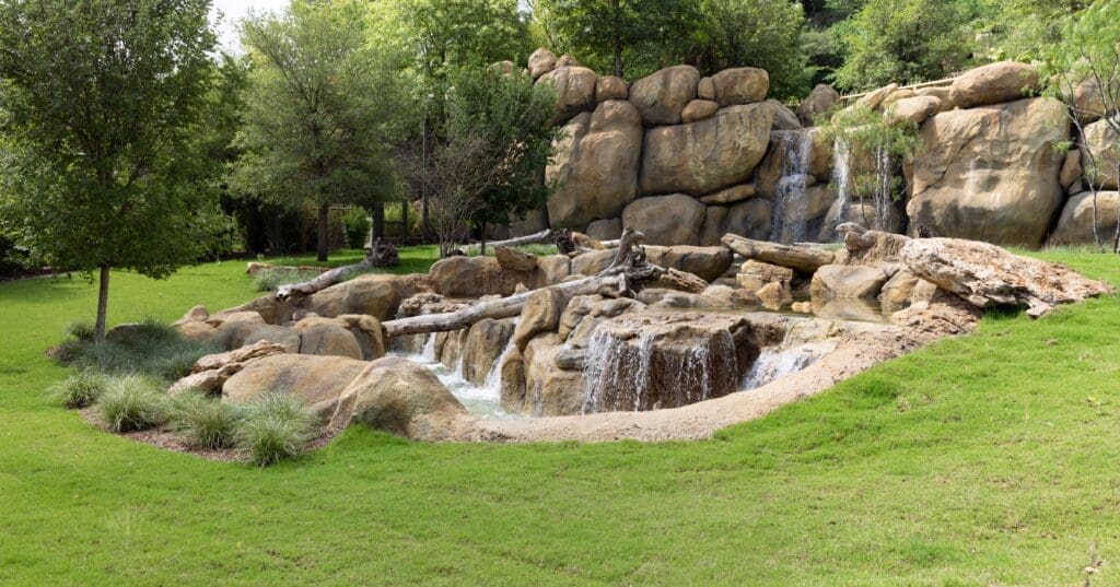 The lush new lion habitat complete with waterfalls
