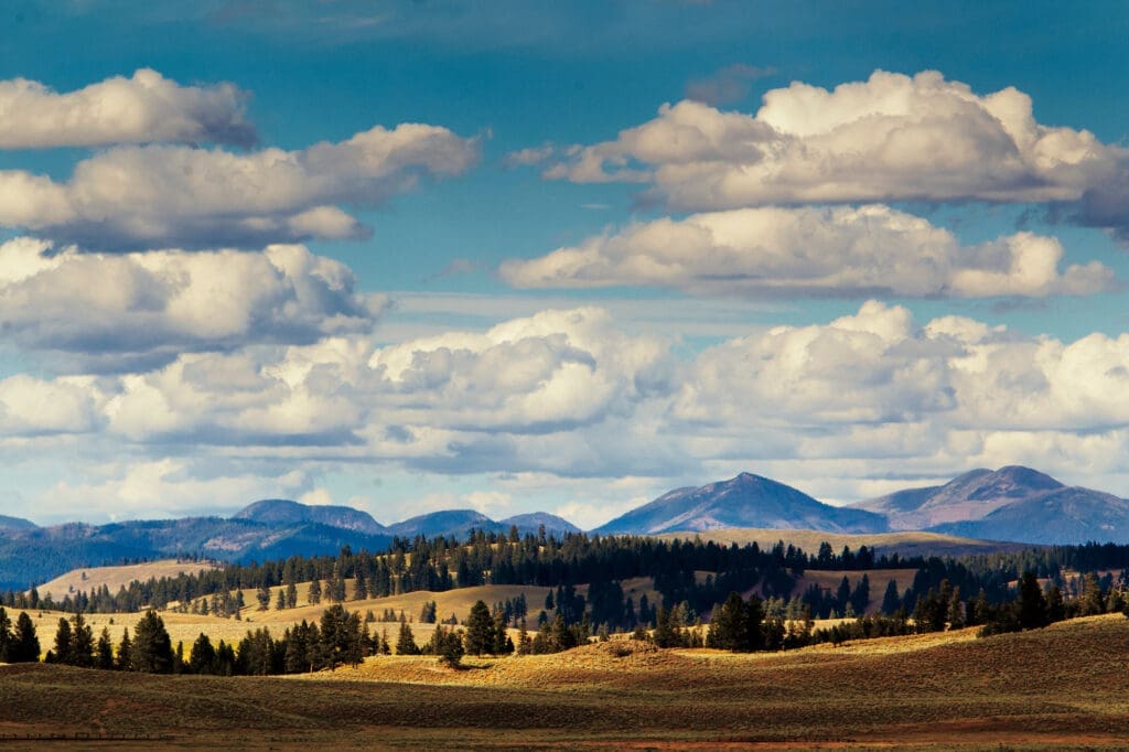 Sprawling land and mouthwatering views surround The Resort at Paws Up. (Photo by Stuart Thurlkill)