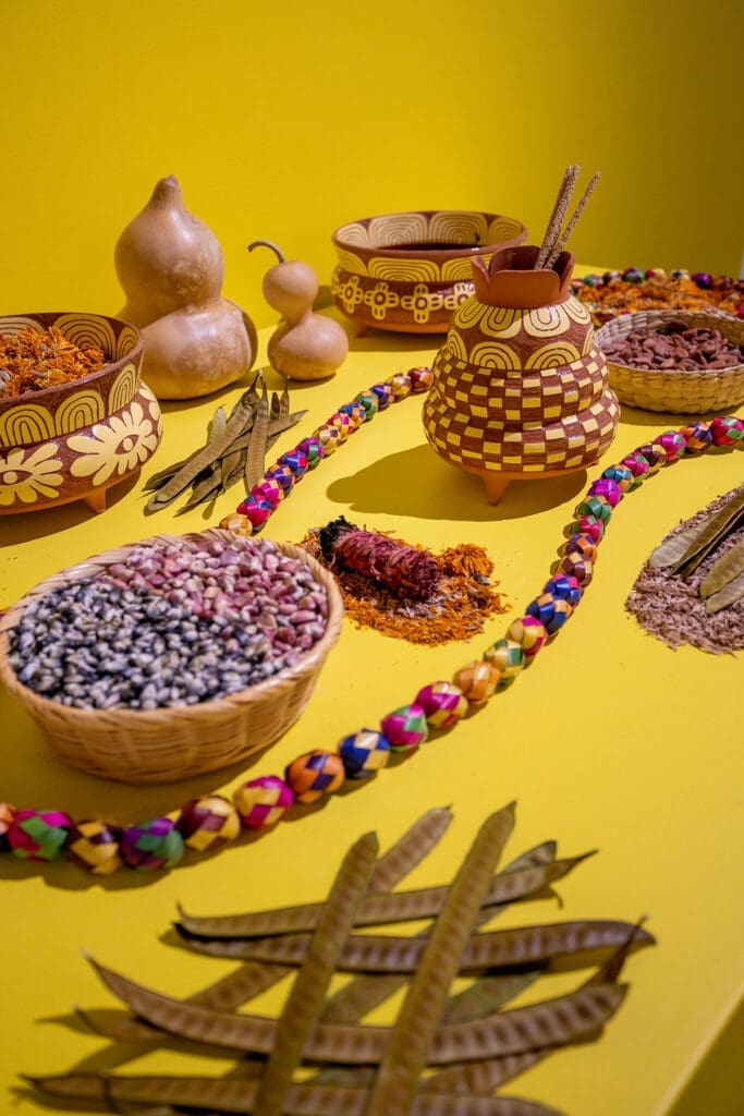 Gabo Martinez's “The Land of Flowers” takes inspiration from pre-Hispanic cultures and traditions and is on view at Houston Center for Contemporary Craft (Photo by Katy Anderson)