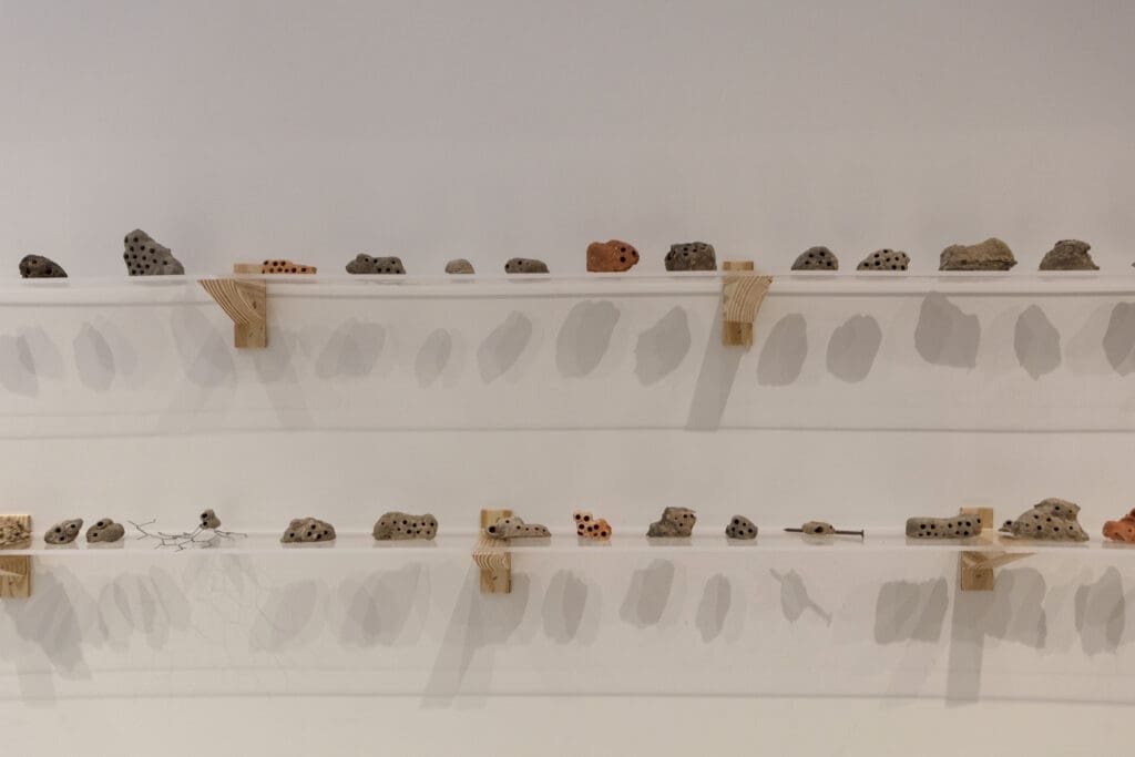 Close up of mud dauber nests in Patrick Renner's "Once & Future Architecture" Exhibition at the Architecture Center Houston  (Photo by Emily Peacock)