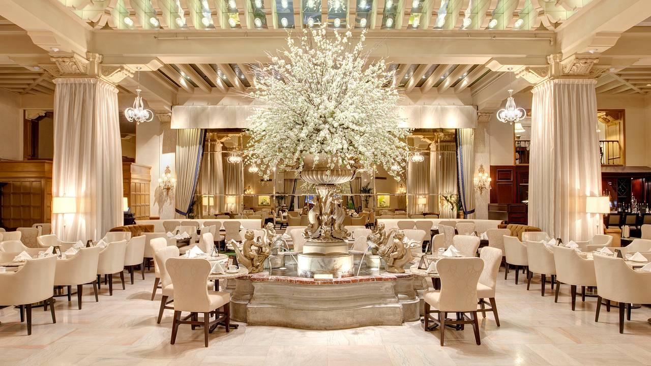 The Palm Court Chicago