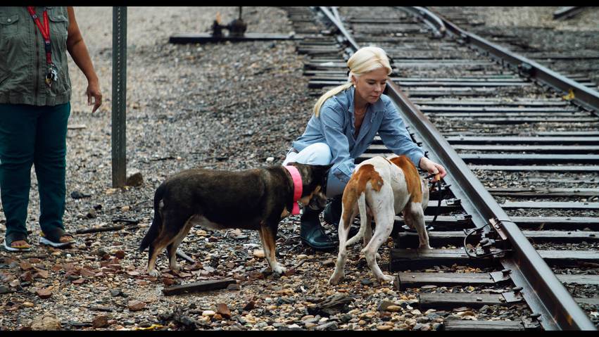 For the Love of Animals — Identical Twins Take On Houston’s Shameful Stray Situation With a Movie That Packs a Punch