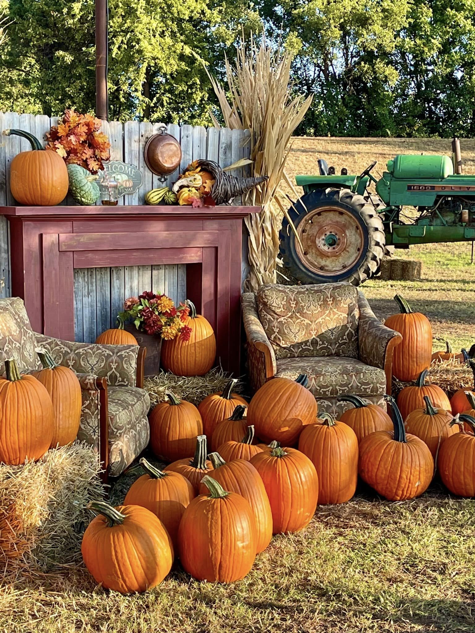 Hall's Pumpkin Farm