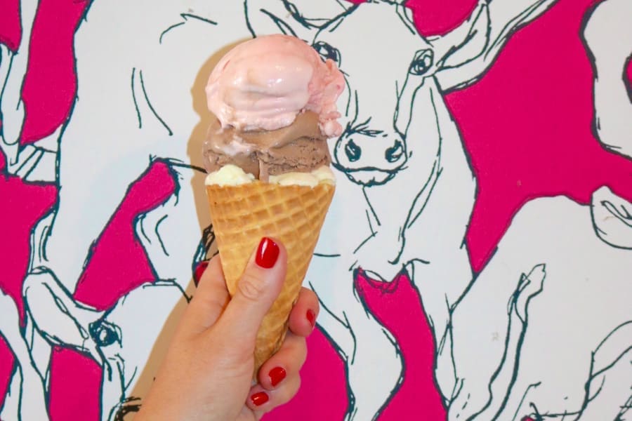The clever collaboration highlights some of the chef-driven flavors Marques has devised over the years like Oaxaca hot chocolate and balsamic strawberry, tastes which have prompted Southern Living Magazine to declare Craft Creamery one of the top eight ice cream parlors in the South. Photo by Addison Hall.