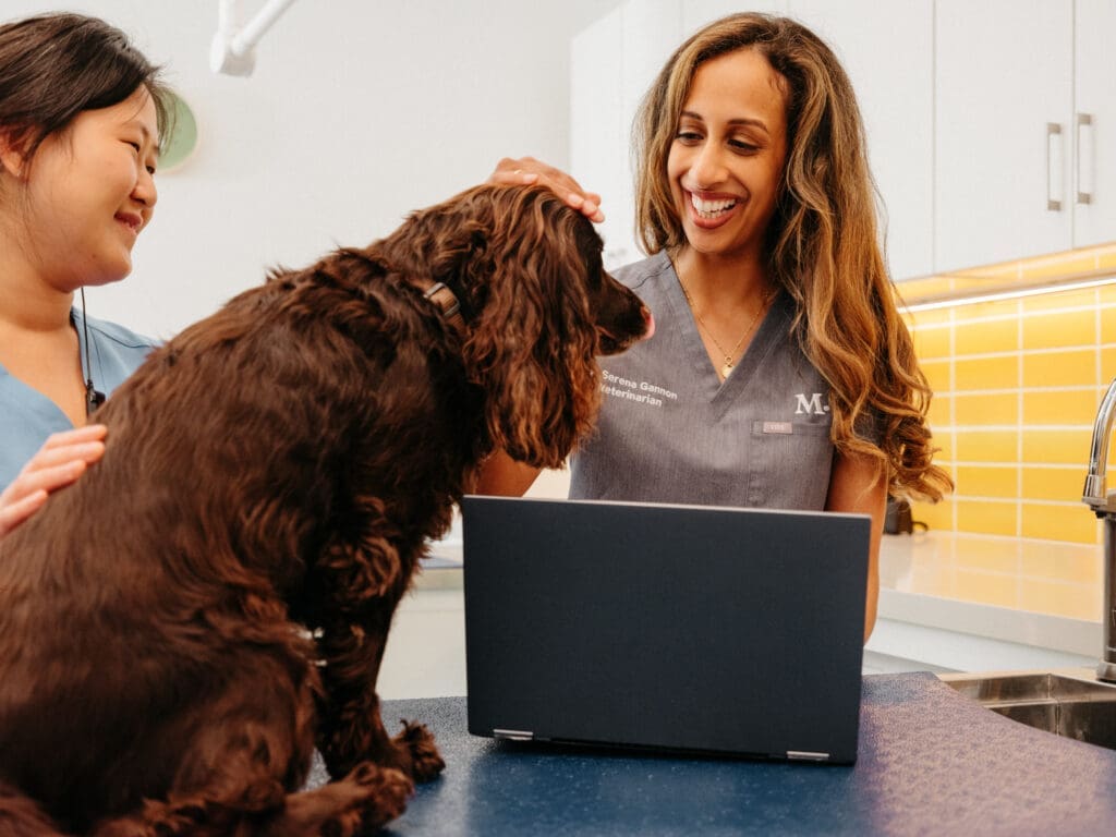Modern Animal Launches in Dallas — Making Pet Care Accessible, Flexible, and Enjoyable For All