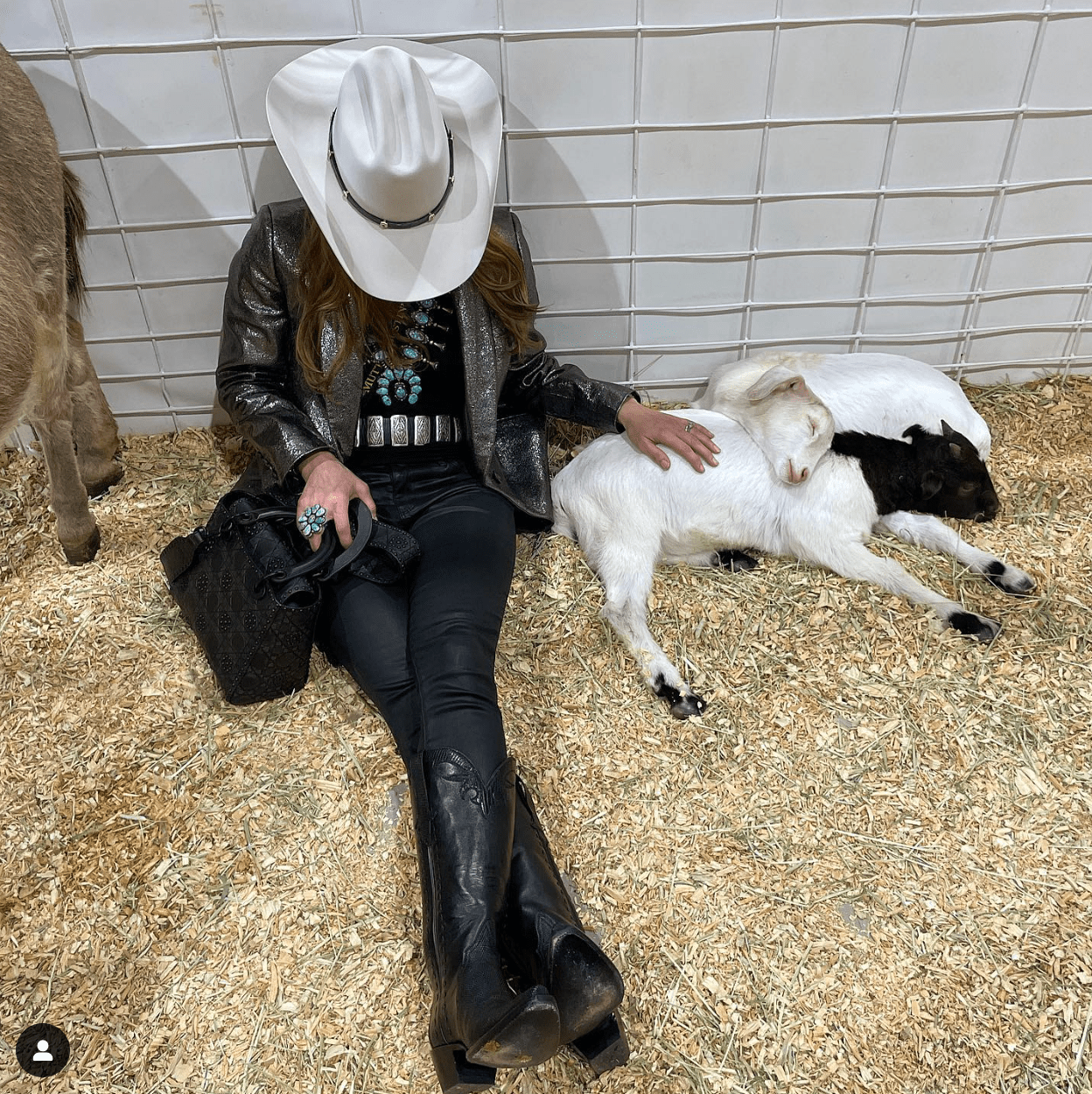 Kristina Somerville taking a break with friends in the Petting Zoo at the 2023 Houston Livestock Show Rodeo. (Instagram photo)