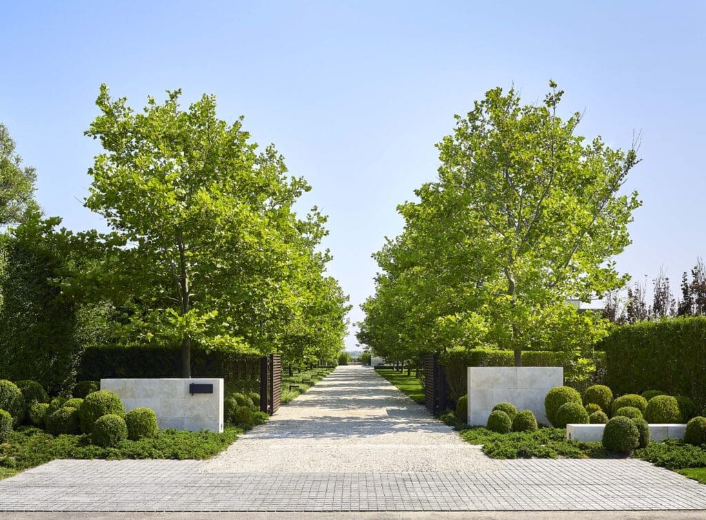 The entry to a compound in Sagaponack, designed by Sawyer | Berson, is framed by Jerusalem limestone piers and inter-planted with clipped boxwood atop a field of shore juniper groundcover. London plane trees flank the crushed-gravel drive, providing a shaded allée beyond the double gates with a view to Sagg Pond. (Photo by Joshua McHugh) 