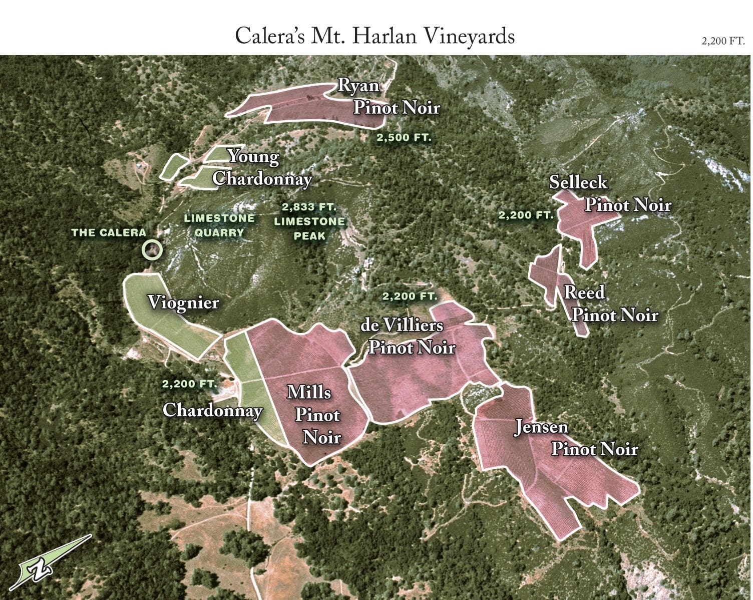 A rich area of land can produce some great holiday wines.