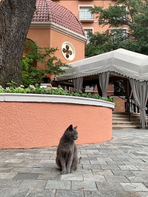 Duncan at the Rosewood Mansion on Turtle Creek (photo courtesy) (Photo by Madi Hurley)