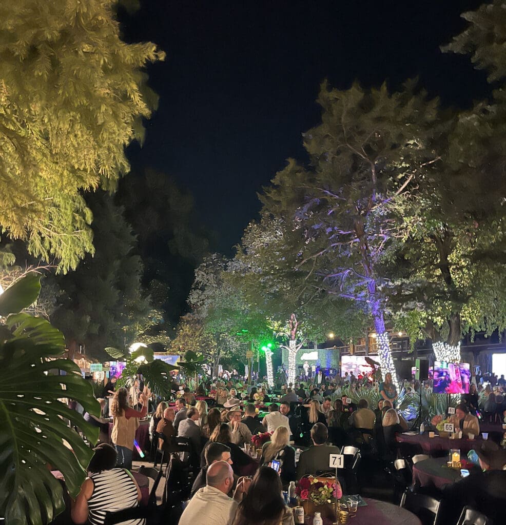 The scene in Wilds of Africa Plaza at the 2023 Dallas Zoo To Do. (Photo by Thomas Garza and Rob Wythe/Wythe Portrait Studio)