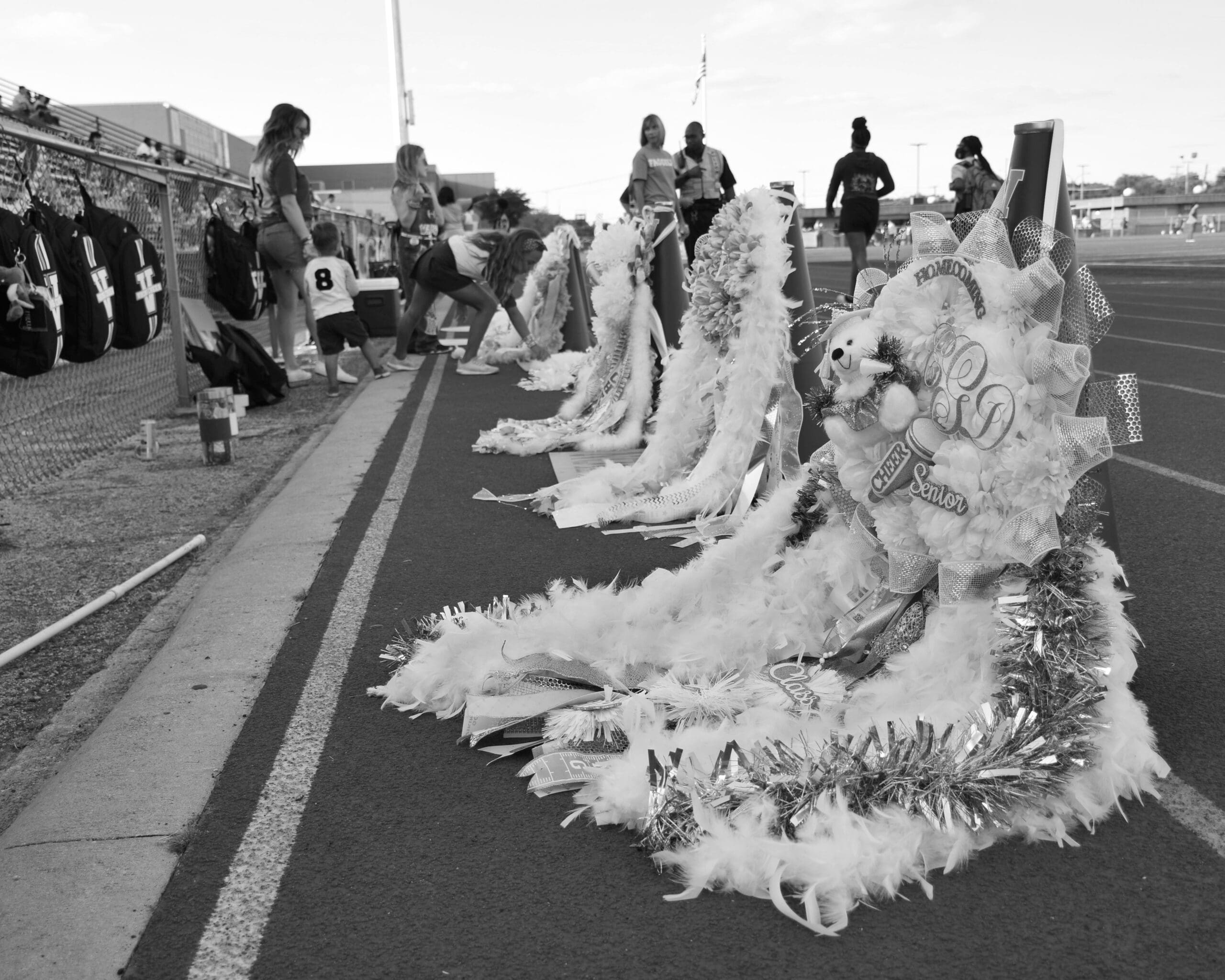 Amy J. Schultz's "Varsity Mums" from "Mumentous"