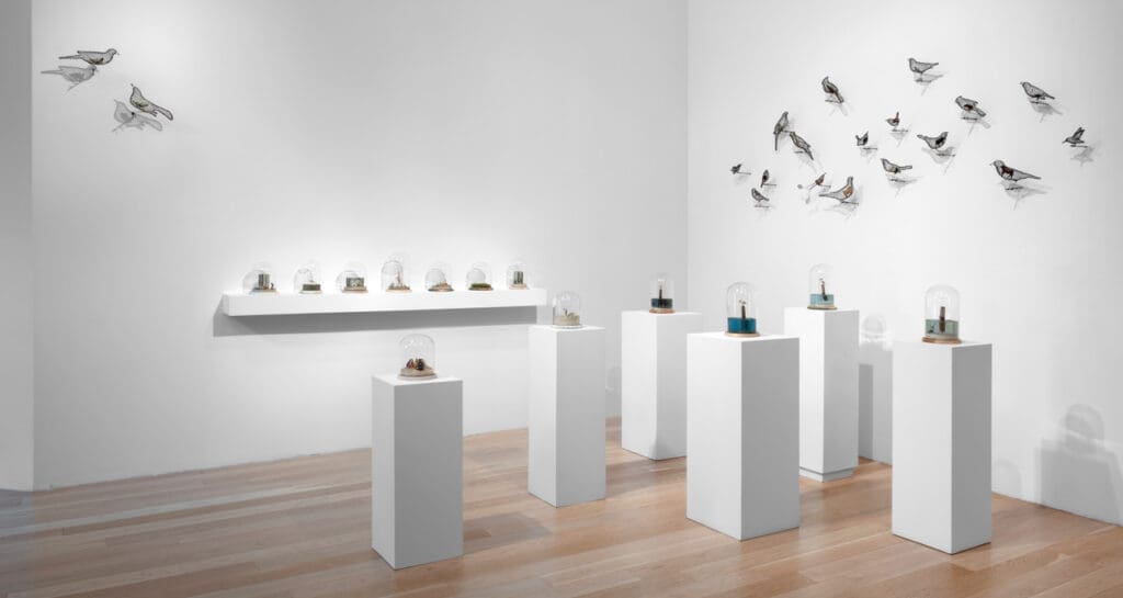 Installation view of "Helen Altman: Birds with Animals & I Have a Story," 2023 at Moody Gallery (Courtesy Moody Gallery)