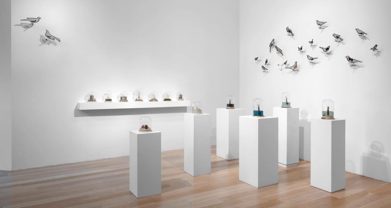 Installation view of "Helen Altman: Birds with Animals & I Have a Story," 2023 at Moody Gallery (Courtesy Moody Gallery)