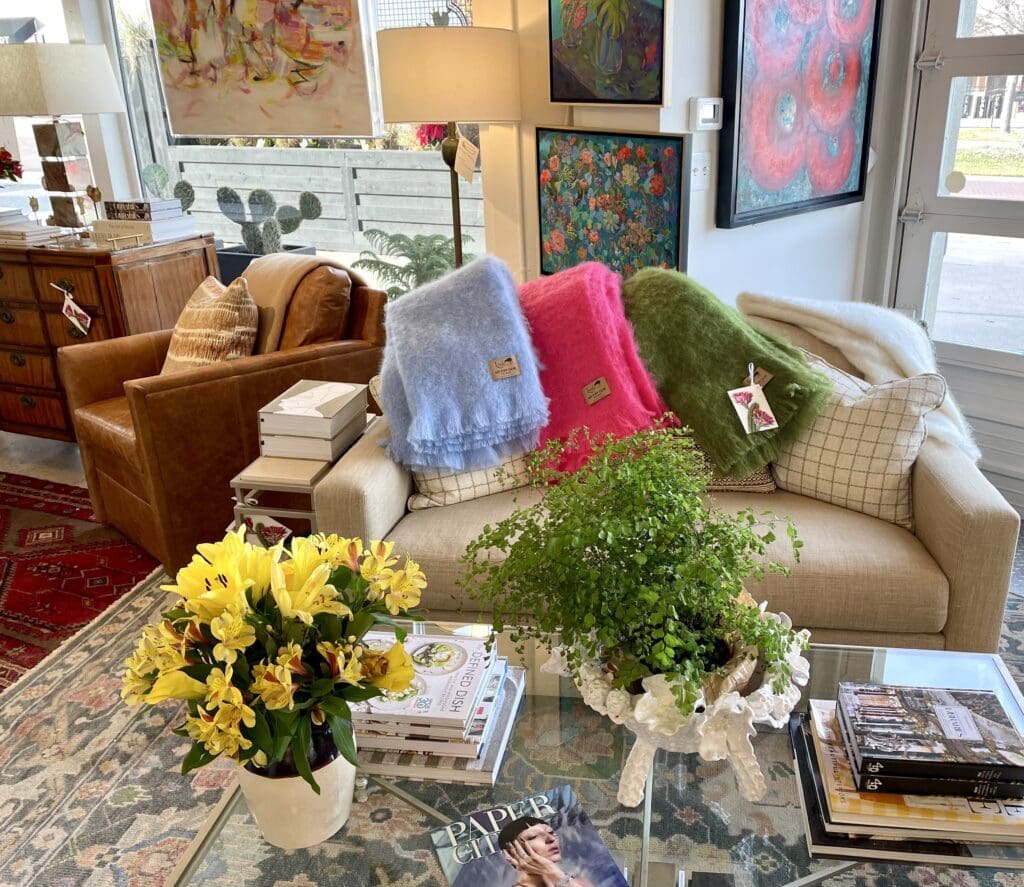 New Home Decor Store Brings Unexpected Wonders to Fort Worth’s Camp Bowie — Cacti & Crescent Is Full of Surprises