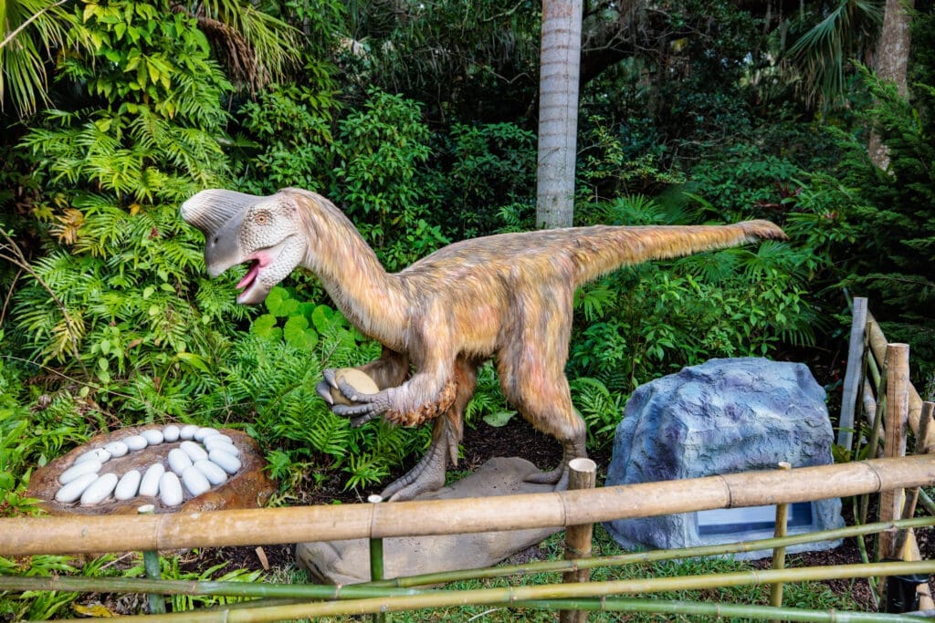 FWBG's 'Dinosaurs Around the World' will showcase Oviraptor — the birdlike dinosaur you need to know.