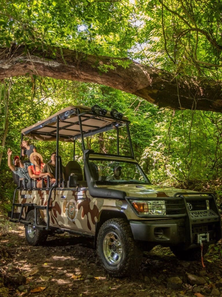 The resort offers several activities for adventurers. 