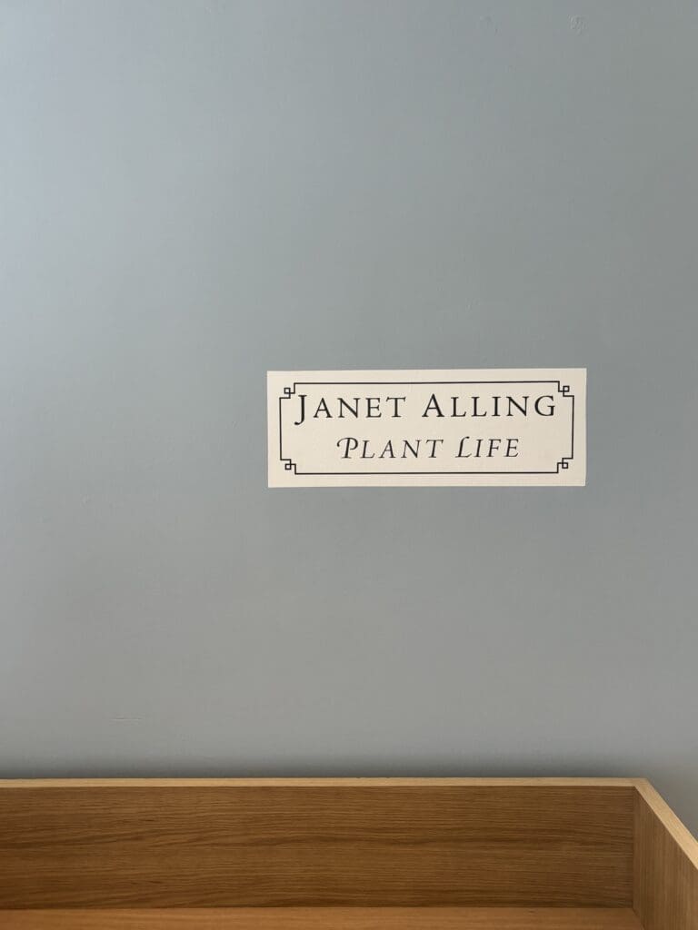 The "Janet Alling: Plant Life," survey, exhibited through April 6 at Erin Dorn's Seven Sisters Gallery, features oil paintings created by modern realist painter Janet Alling since the early 1970s. (Photo by Ericka Schiche)