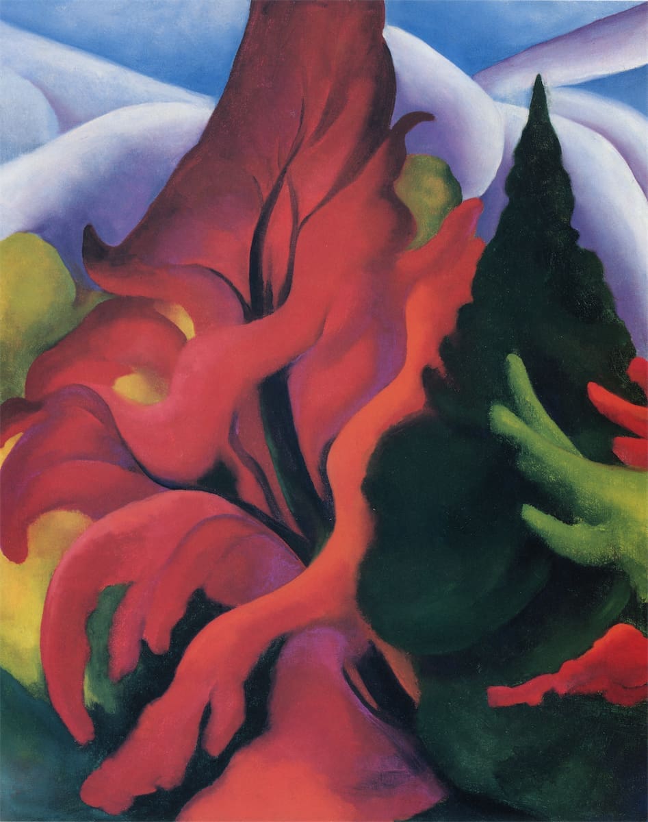 125 Georgia O’Keeffe’s Maple and Cedar, Lake George, 1920. The Georgia O’Keeffe Museum (Abrams, © 1997)