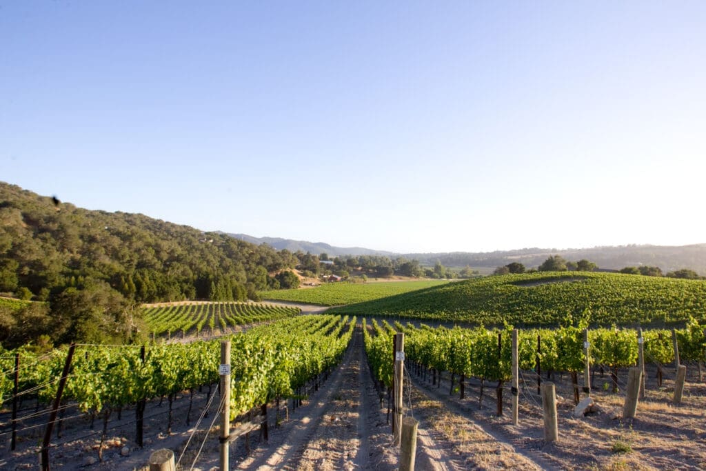 Wines To Know — Getting Into the San Luis Obispo Coast With Talley Vineyards Is a Delightful Breeze