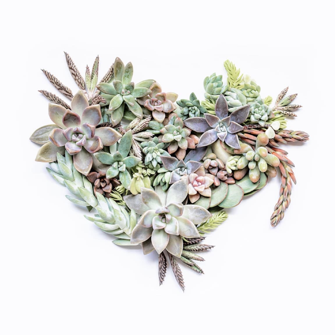 "Life would SUCC without. you" will be hidden in The Woodlands for the Ardest Scavenger Hunt. This piece is 20" x 20" and printed on metal. (Courtesy of Patti Gary)
