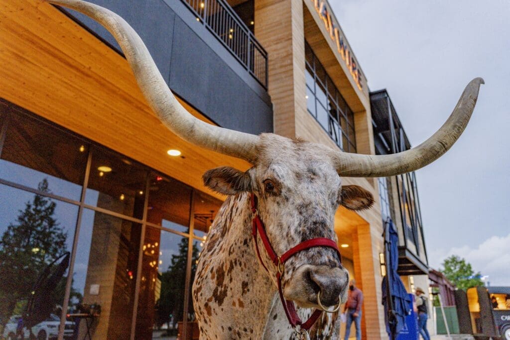 Houston’s New Texas Themed Restaurant Makes It Rodeo Season All Year Long — Getting Into Haywire and its Party Barn