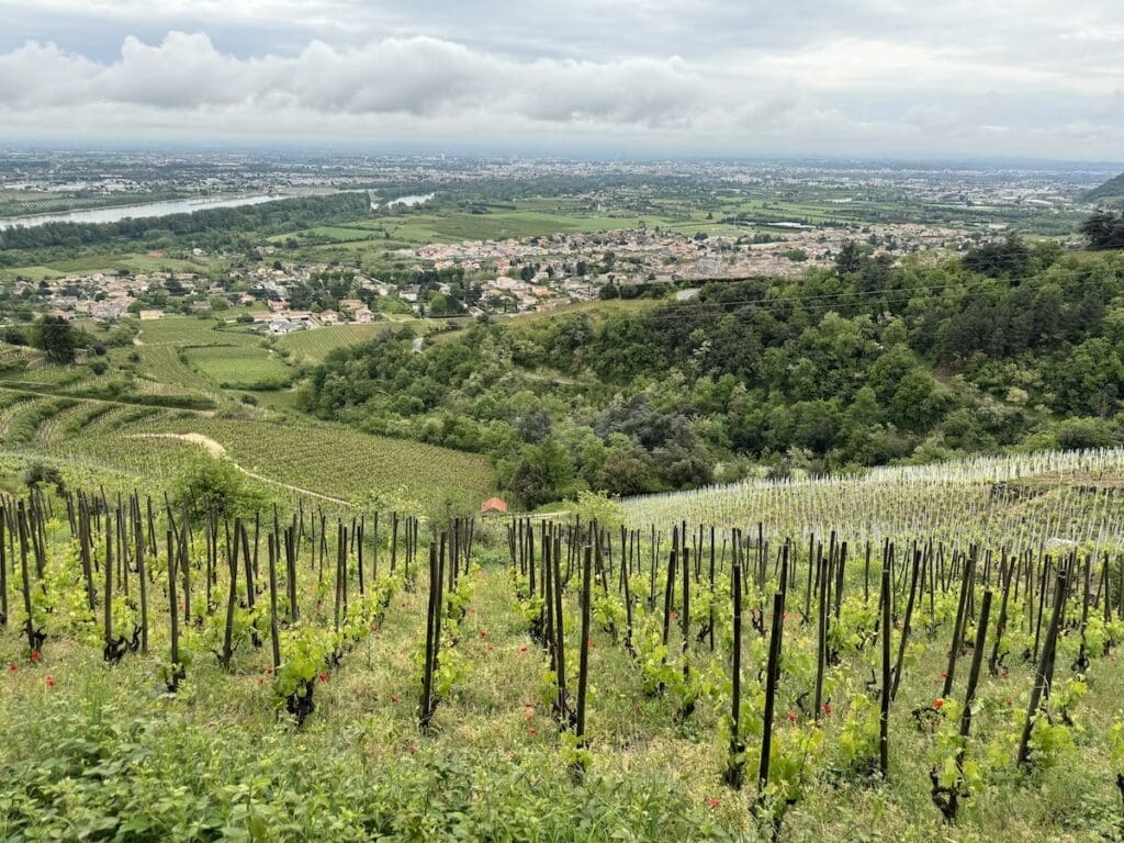 A Jean-Luc Colombo vineyard above Cornas produces wines worthy of Father's Day or any ocassion. (Photo by James Brock)