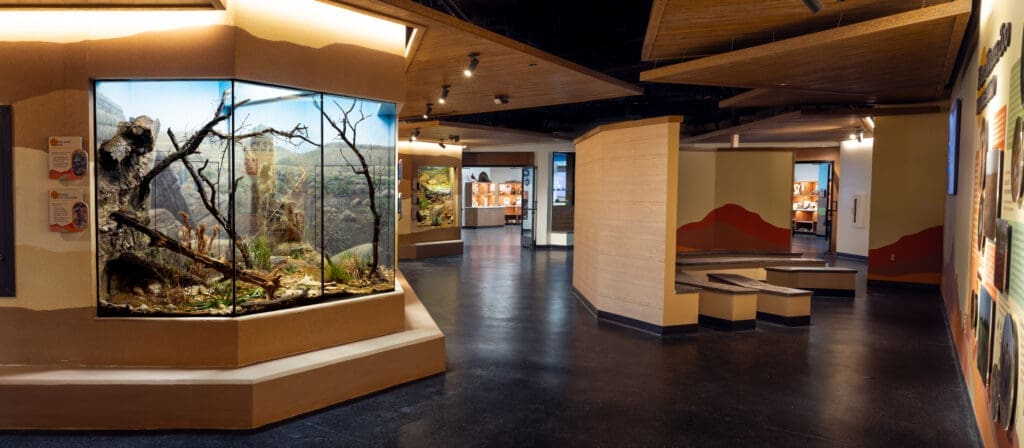 Get Wild At Fort Worth Zoo’s Reimagined Mountains & Desert Exhibit — The Renovated Texas Reptiles and Amphibian Home