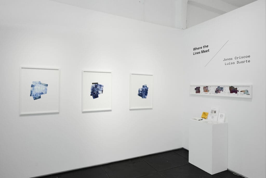 Throughline Collective's "Where the Lines Meet" exhibit (Photo by Jake Eshelman)